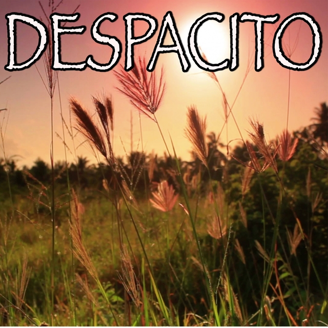 Despacito - Tribute to Luis Fonsi And Daddy Yankee and Justin Bieber