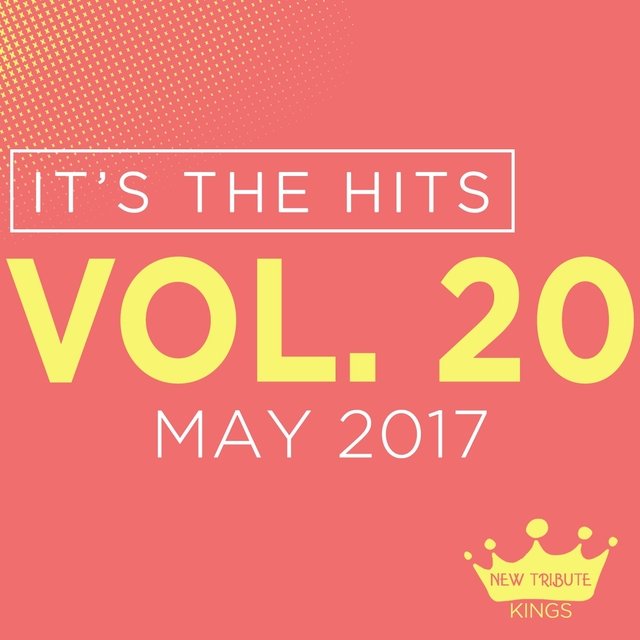 Couverture de It's the Hits! 2017, Vol.20