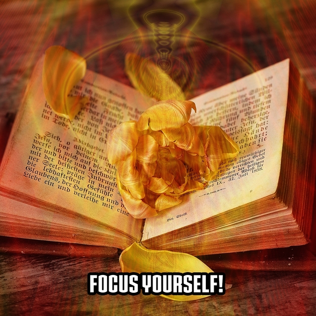 Couverture de Focus Yourself!