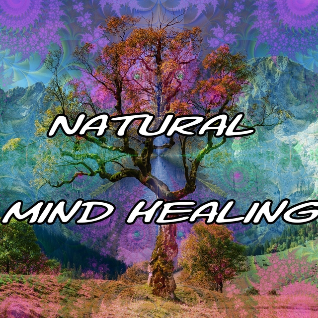 Couverture de Natural Mind Healing