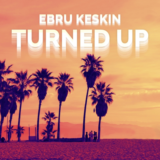 Couverture de Turned Up