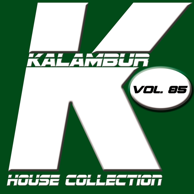 Kalambur house collection Vol. 85