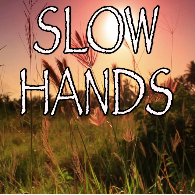 Slow Hands - Tribute to Niall Horan