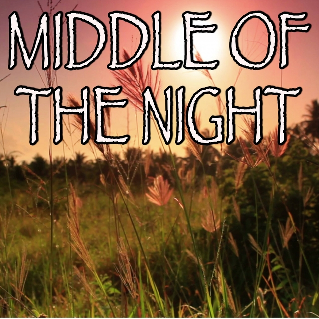 Middle Of The Night - Tribute to The Vamps And Martin Jensen