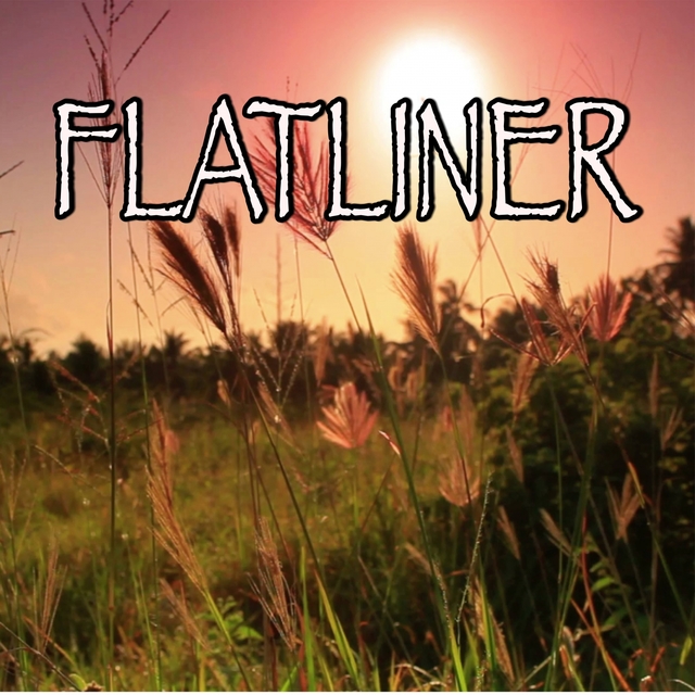 Flatliner - Tribute to Cole Swindell