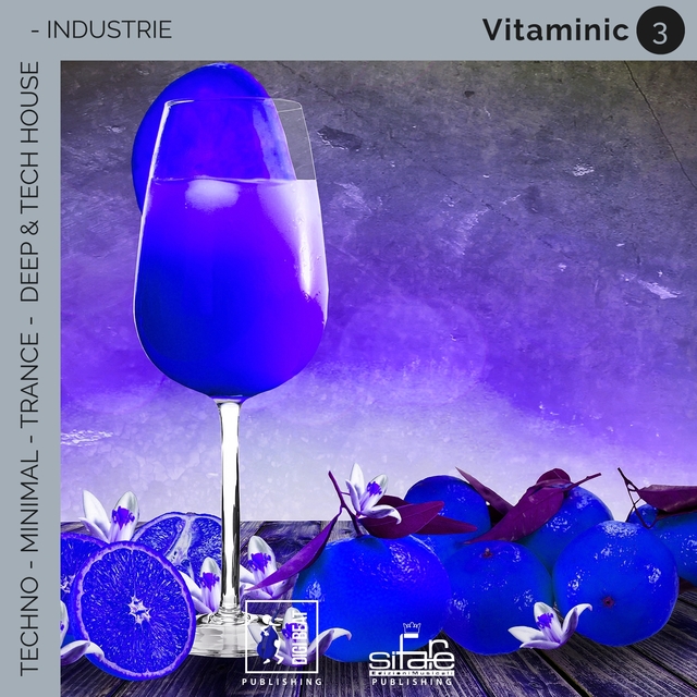 Couverture de Vitaminic 3