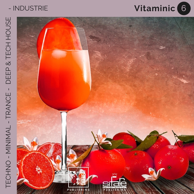 Vitaminic 6