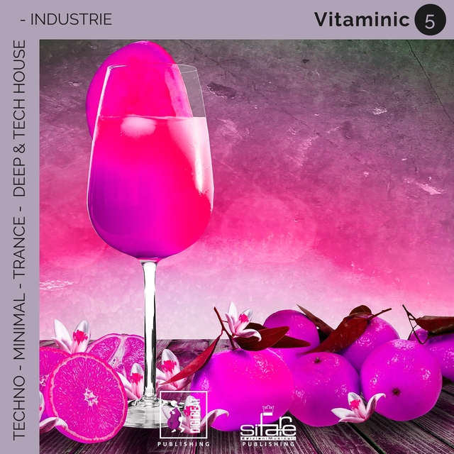 Couverture de Vitaminic 5