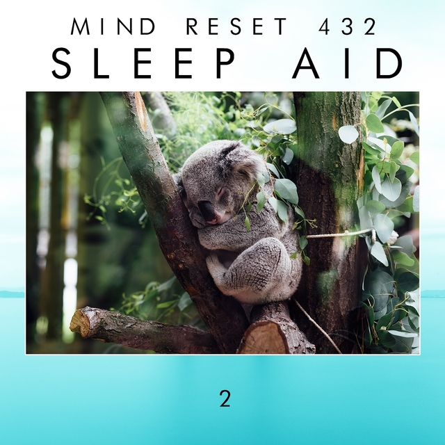 Sleep Aid 2