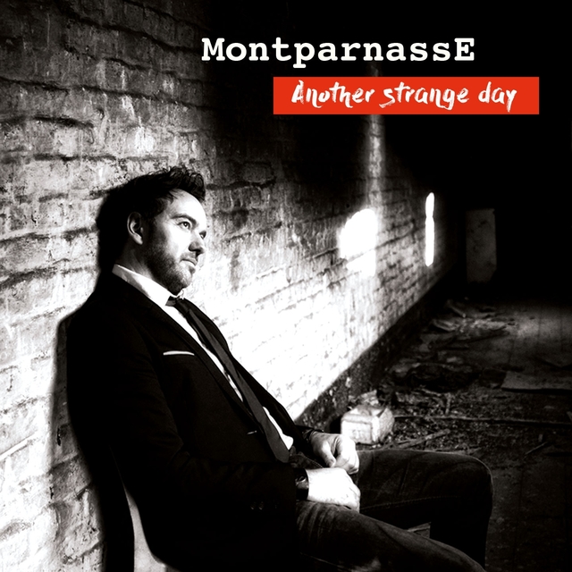 Couverture de Another Strange Day