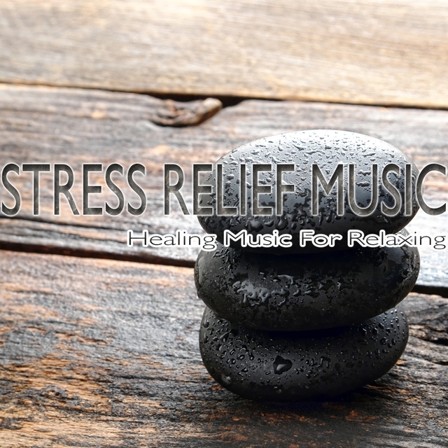 Couverture de Stress Relief Music For Relaxing