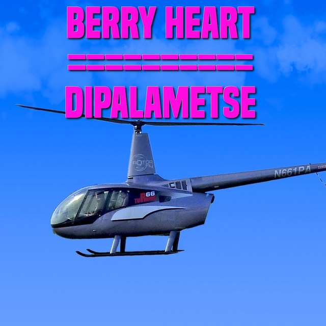 Couverture de Dipalametse