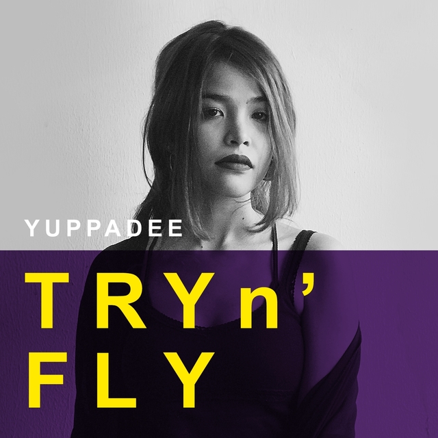 Couverture de Try 'n Fly