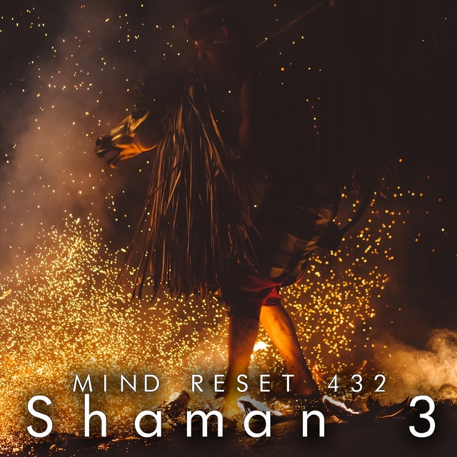 Shaman 3