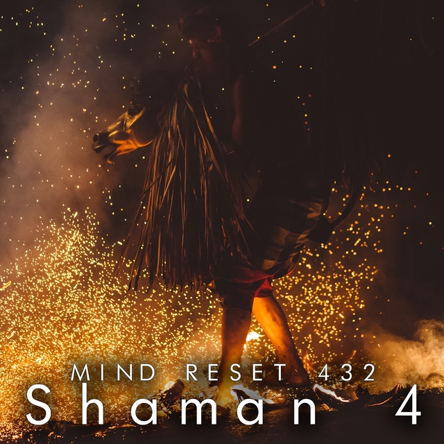 Shaman 4