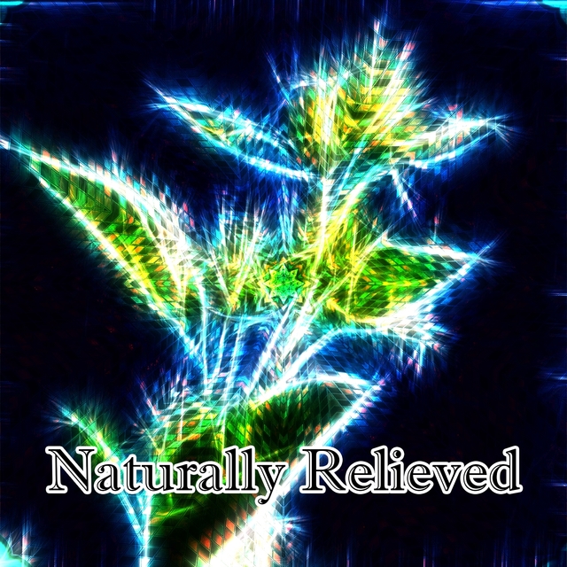 Couverture de Naturally Relieved