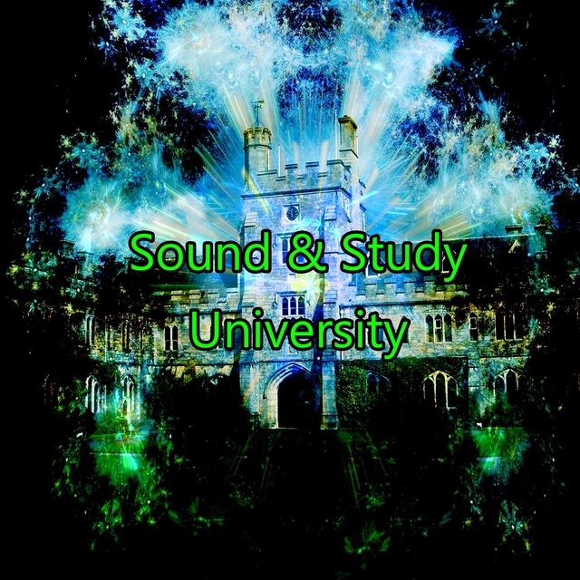 Couverture de Sound & Study University