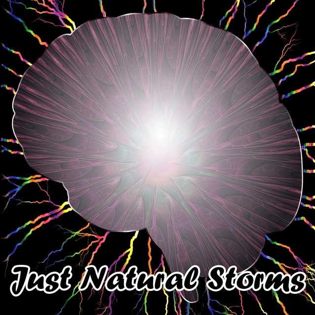 Couverture de Just Natural Storms