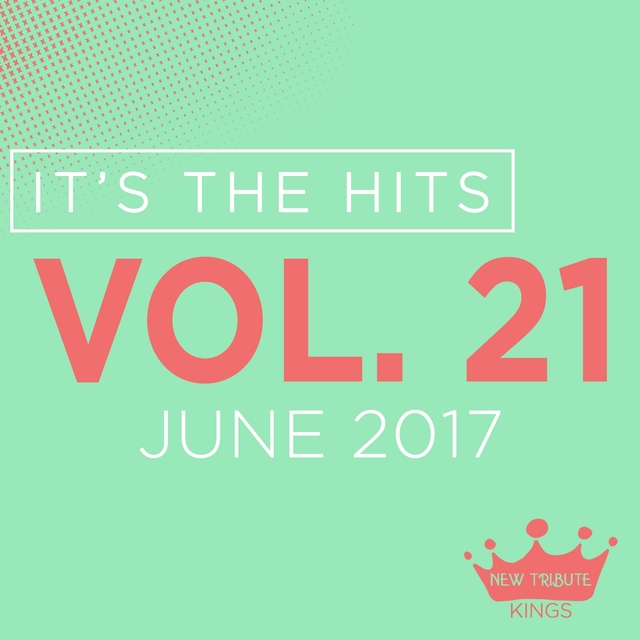 Couverture de It's the Hits! 2017, Vol. 21