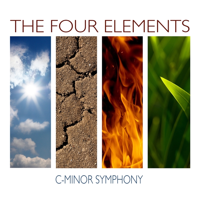 Couverture de The Four Elements Music