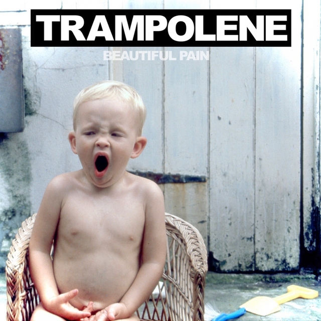 Couverture de Beautiful Pain