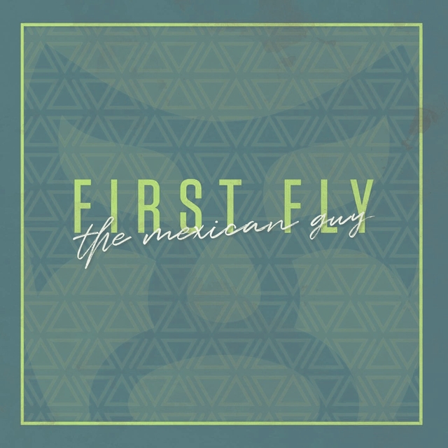 Couverture de First Fly