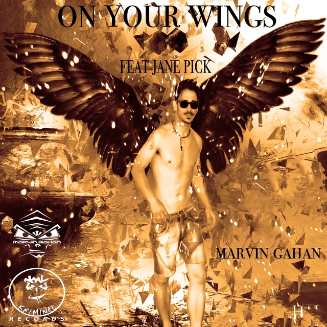 Couverture de On Your Wings