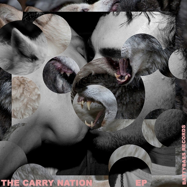 Couverture de The Carry Nation