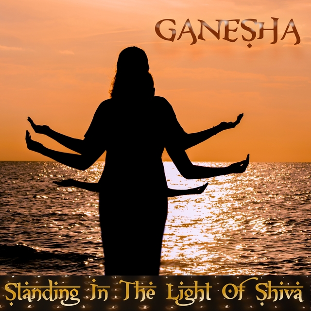 Couverture de Standing In The Light Of Shiva