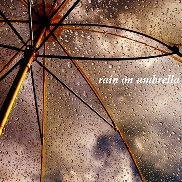 Rain on Umbrella