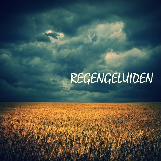 Couverture de Regengeluiden