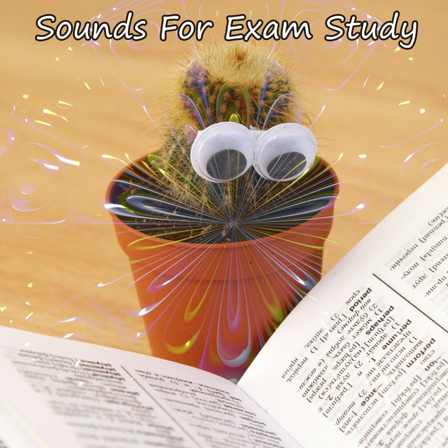 Couverture de Sounds For Exam Study