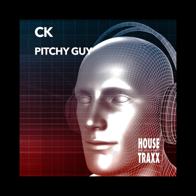 Couverture de Pitchy Guy