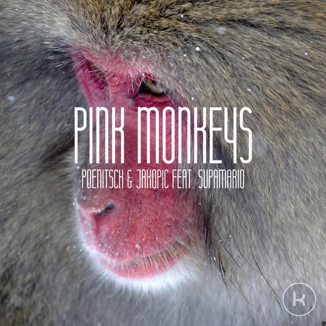 Couverture de Pink Monkeys