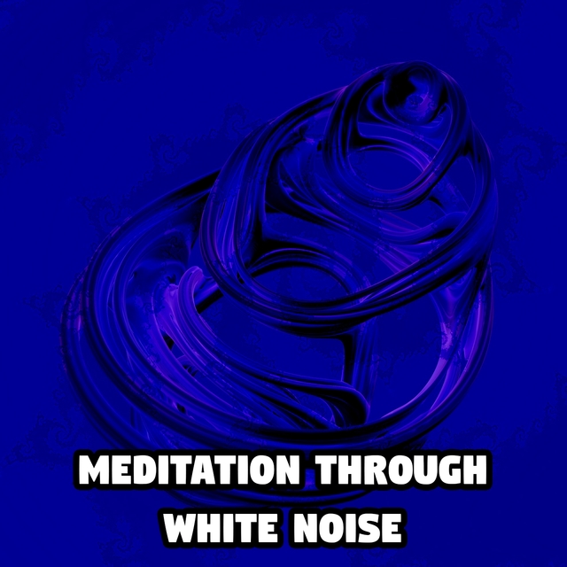 Couverture de Meditation Through White Noise