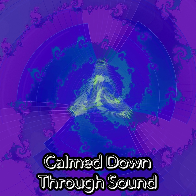 Couverture de Calmed Down Through Sound