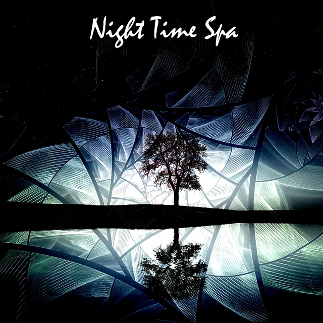 Couverture de Night Time Spa