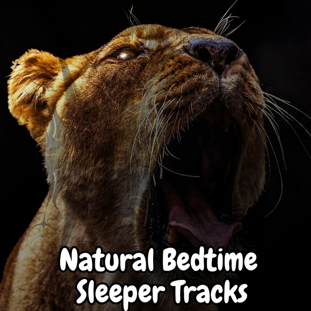 Couverture de Natural Bedtime Sleeper Tracks