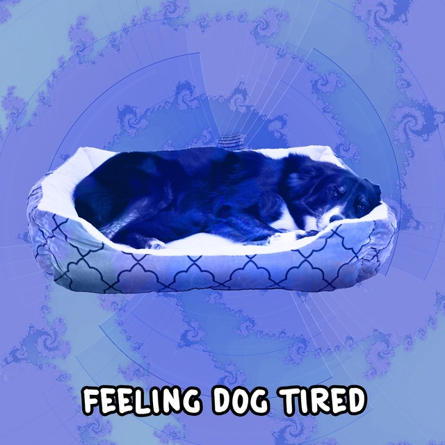 Couverture de Feeling Dog Tired