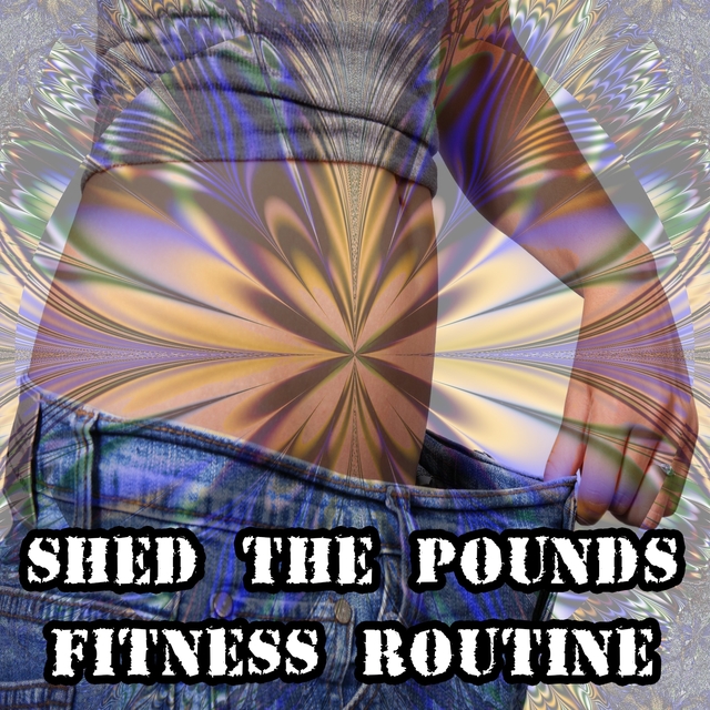 Shed The Pounds Fitness Routine