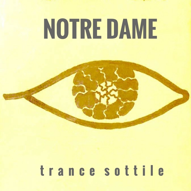 Couverture de Trance sottile