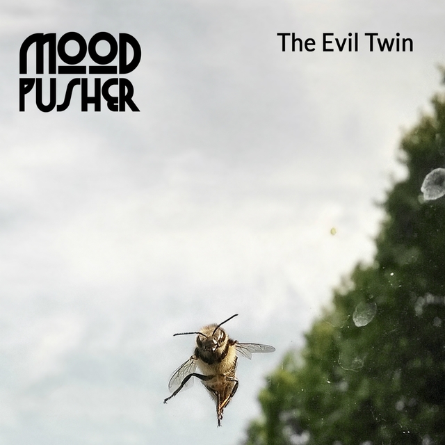 Couverture de The Evil Twin