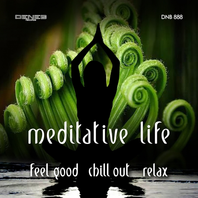 Couverture de Meditative Life