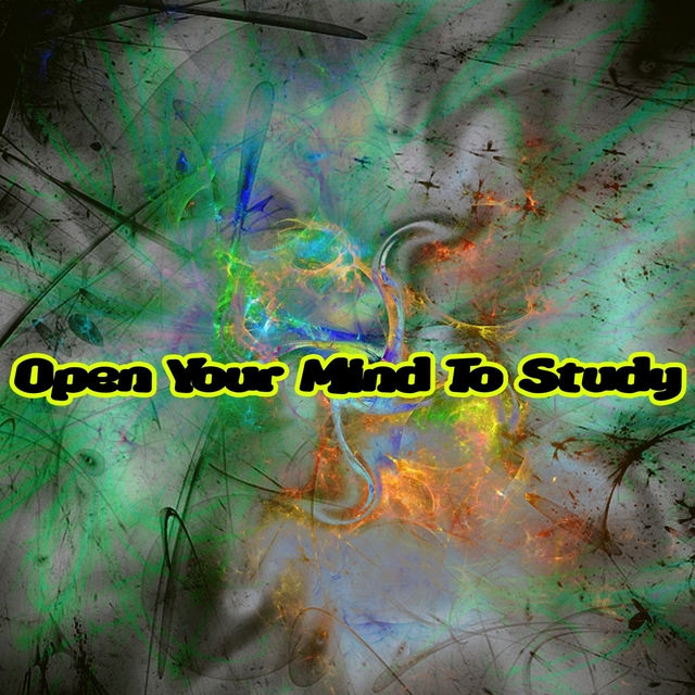 Couverture de Open Your Mind To Study