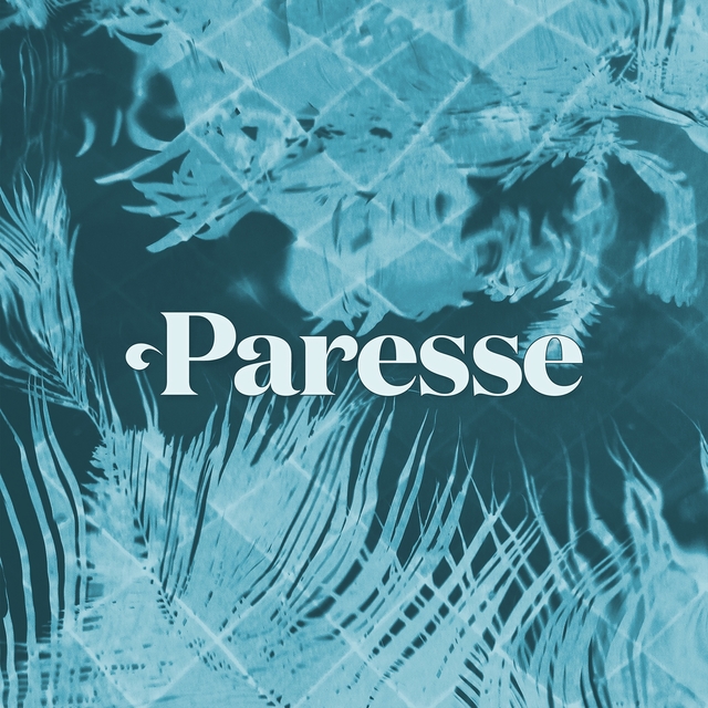 Couverture de La Paresse