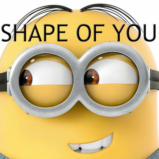 Shape of You