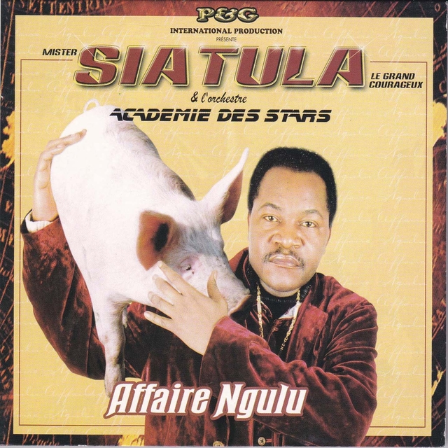 Couverture de Affaire Ngulu