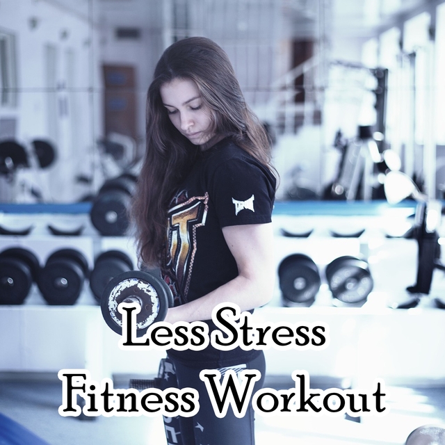 Couverture de Less Stress Fitness Workout