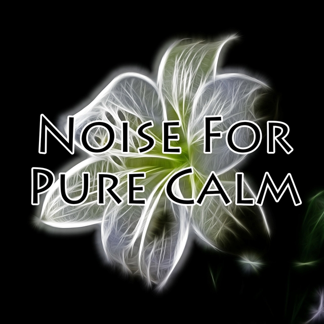 Noise For Pure Calm