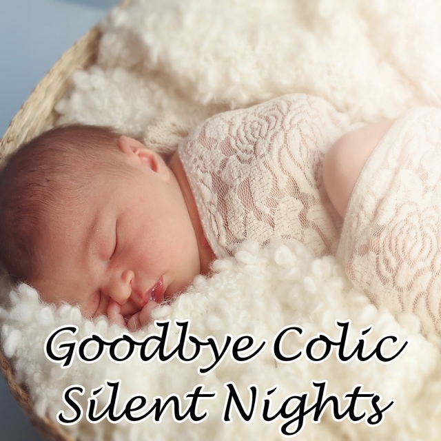 Couverture de Goodbye Colic Silent Nights